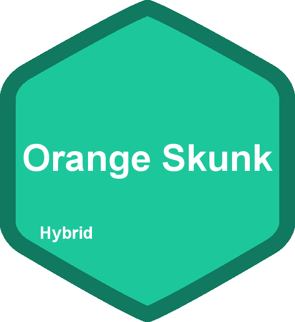 Orange Skunk