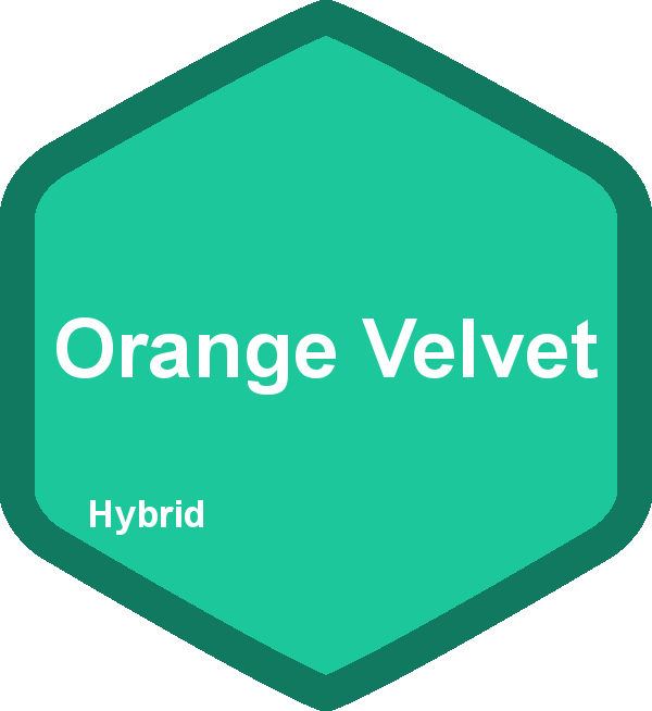 Orange Velvet