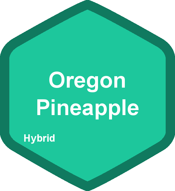 Oregon Pineapple