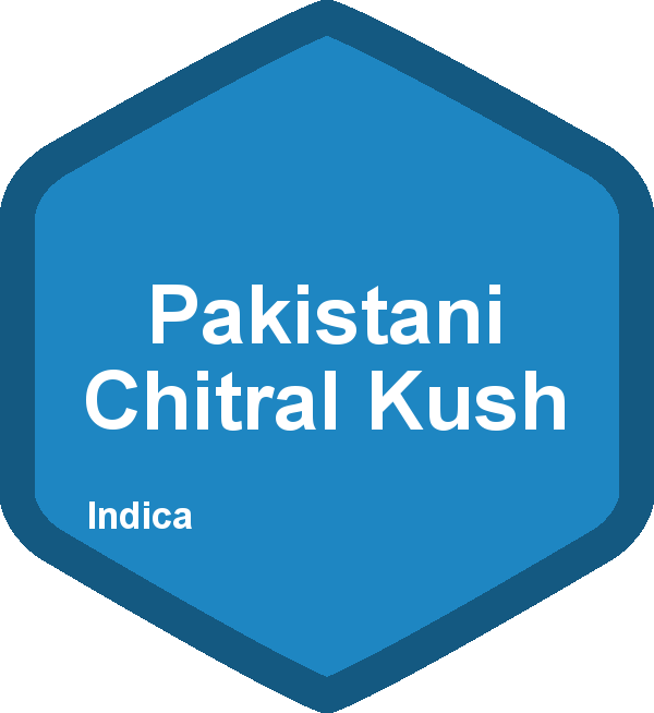 Pakistani Chitral Kush