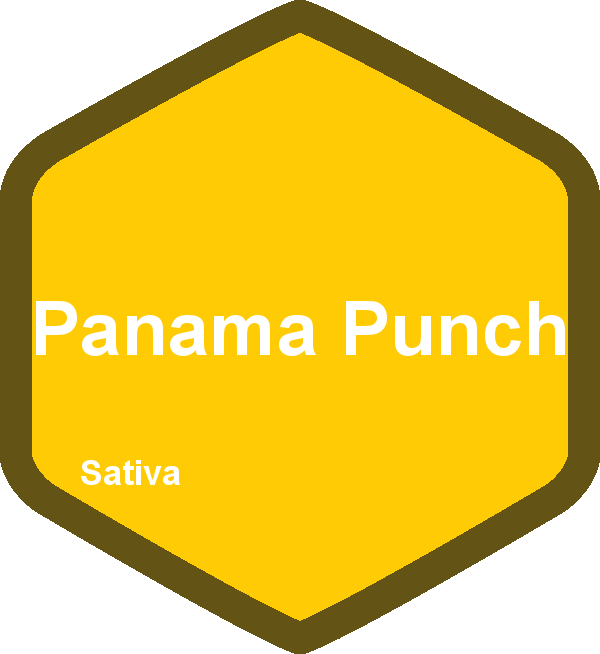 Panama Punch