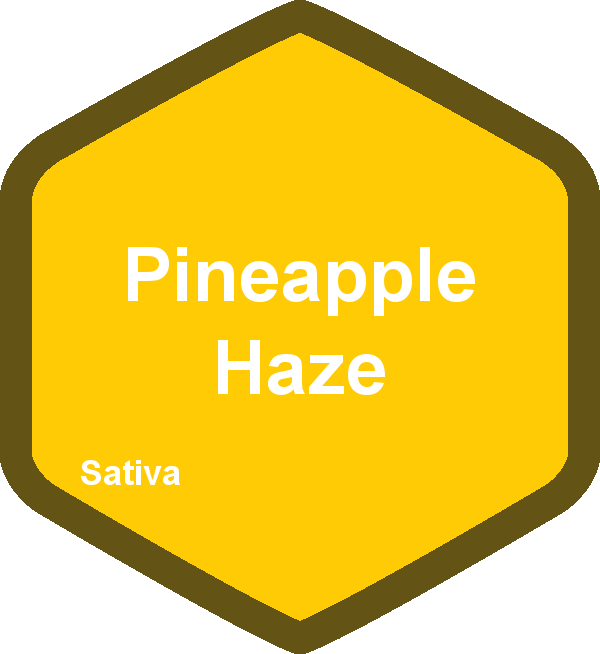 Pineapple Haze