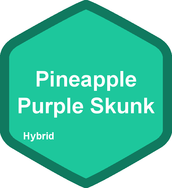 Pineapple Purple Skunk
