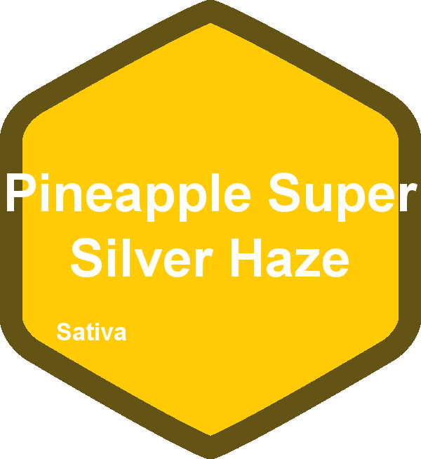 Pineapple Super Silver Haze