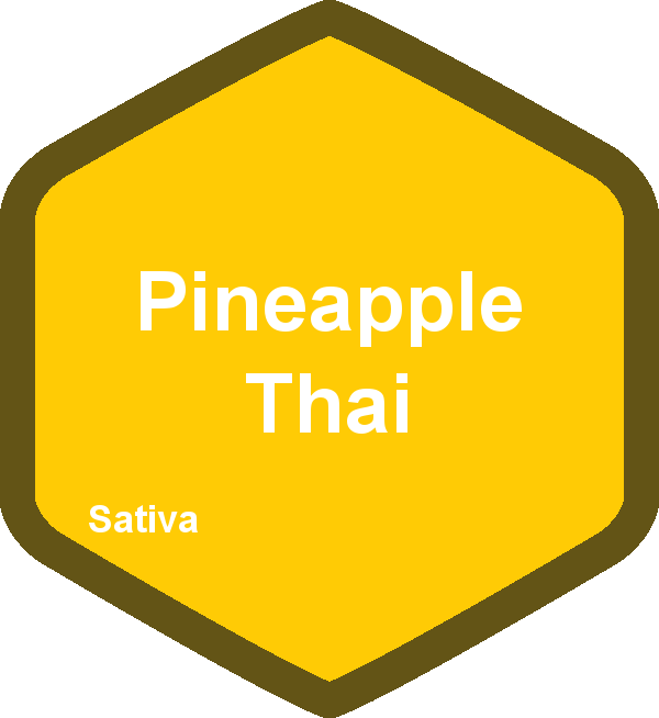 Pineapple Thai