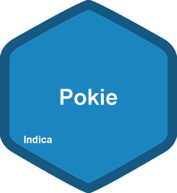 Pokie