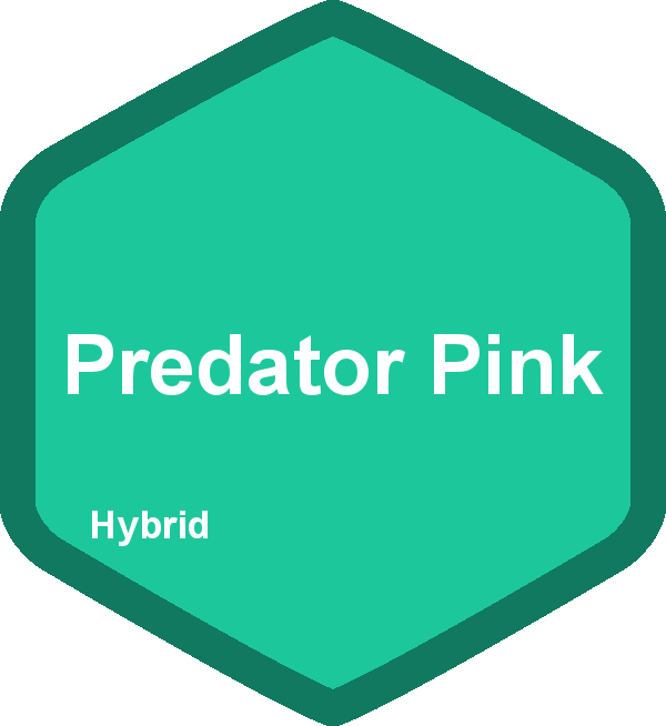 Predator Pink