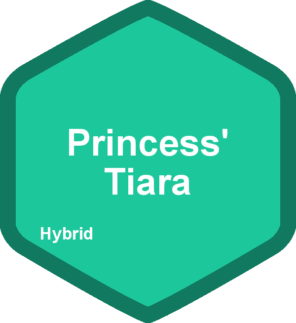 Princess' Tiara