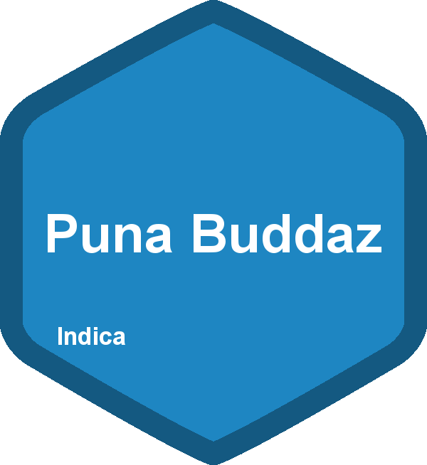 Puna Buddaz