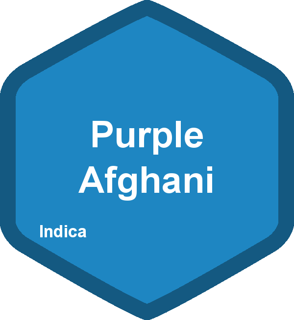Purple Afghani