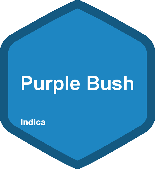 Purple Bush