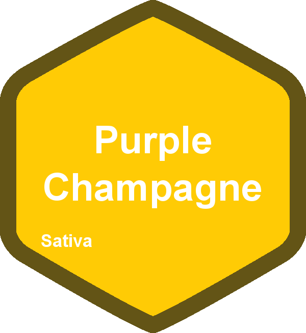 Purple Champagne