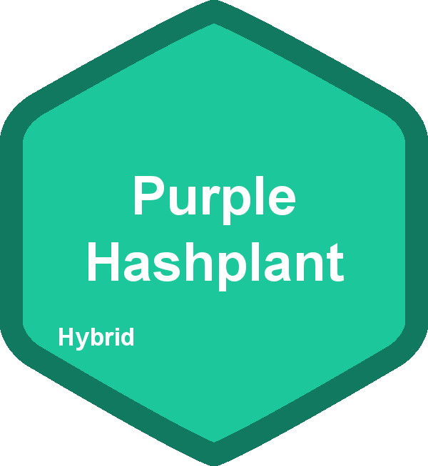 Purple Hashplant