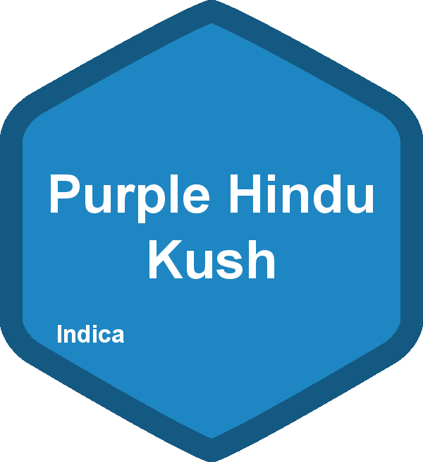Purple Hindu Kush