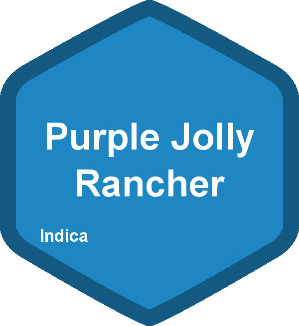Purple Jolly Rancher