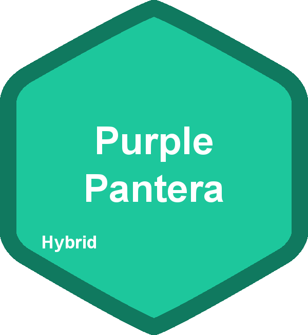 Purple Pantera