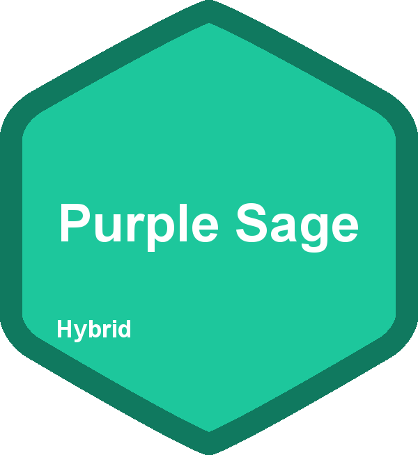 Purple Sage 