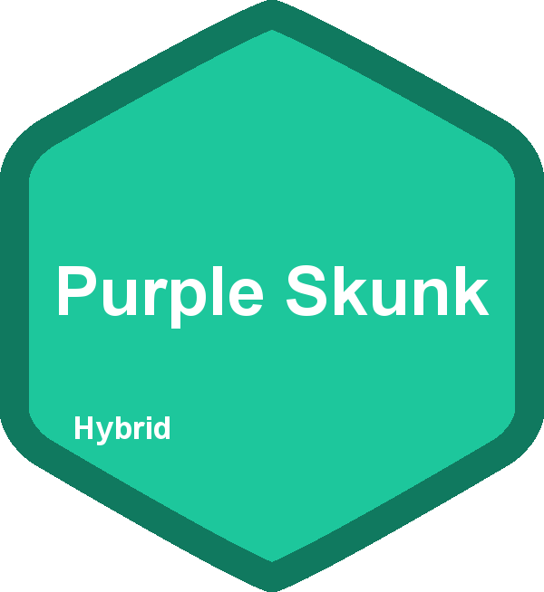 Purple Skunk