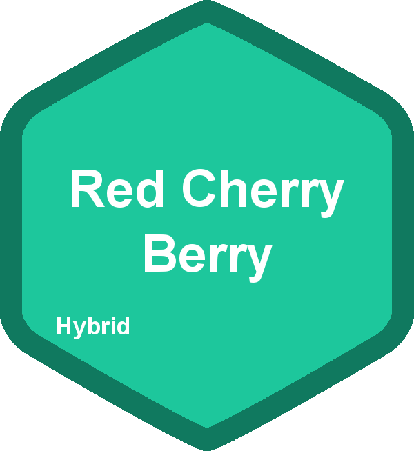 Red Cherry Berry