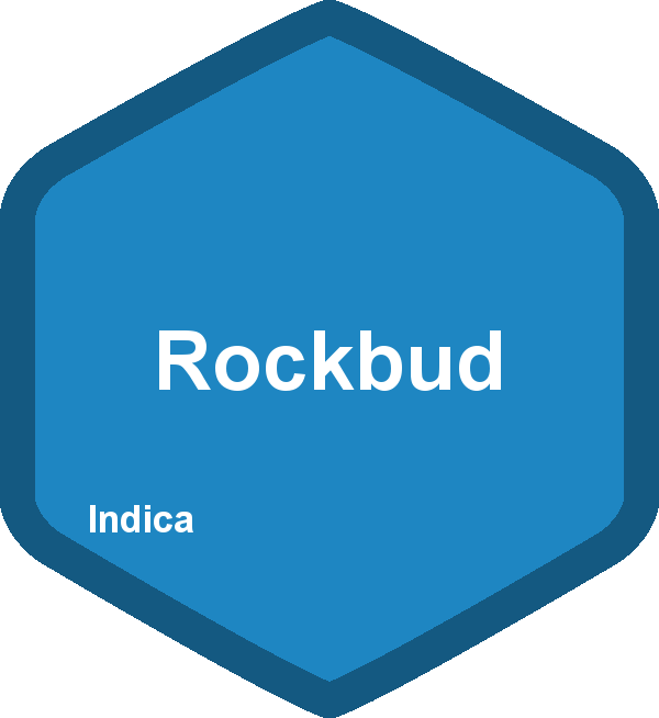 Rockbud