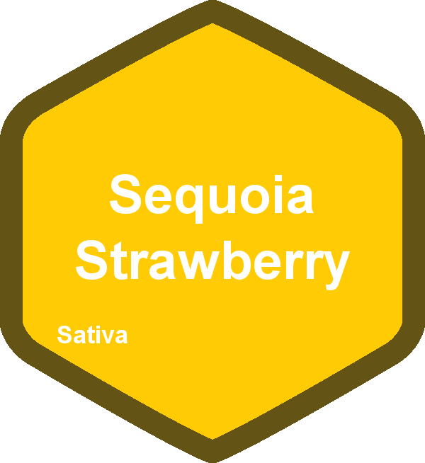 Sequoia Strawberry