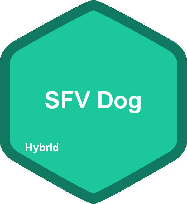 SFV Dog