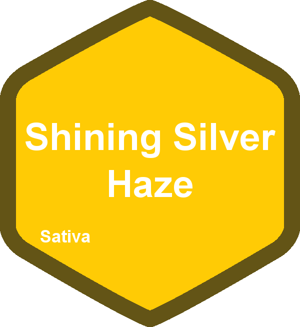 Shining Silver Haze