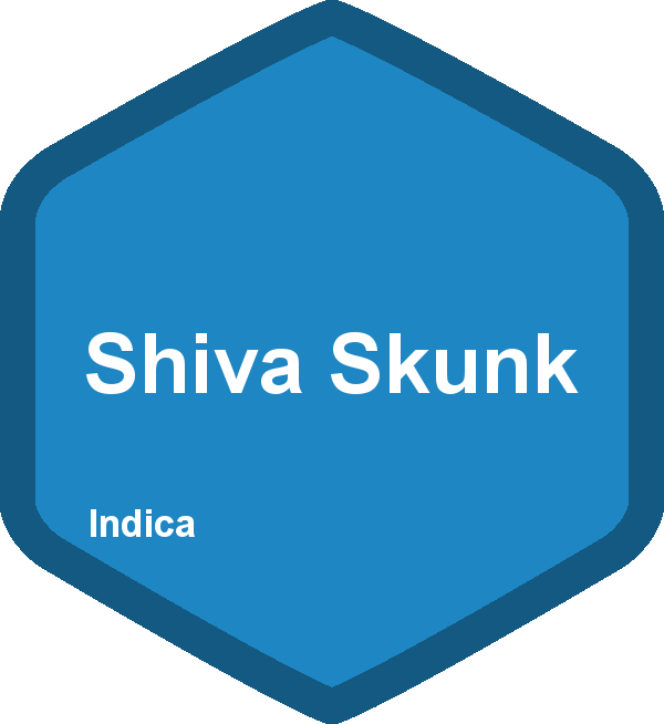 Shiva Skunk