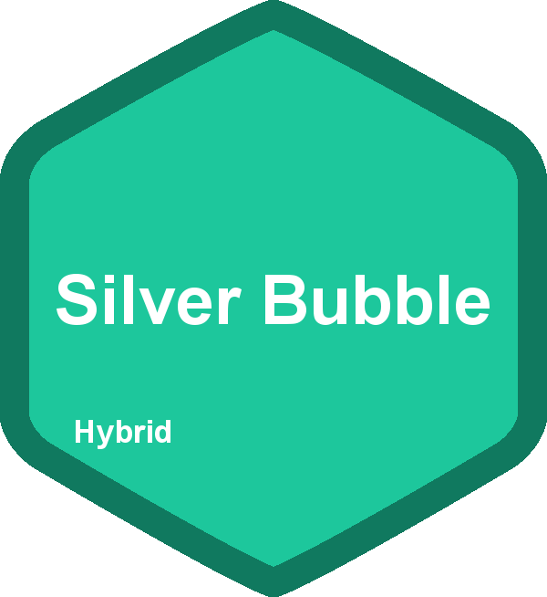 Silver Bubble