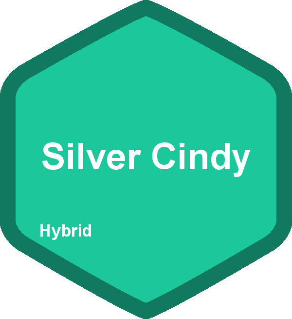 Silver Cindy