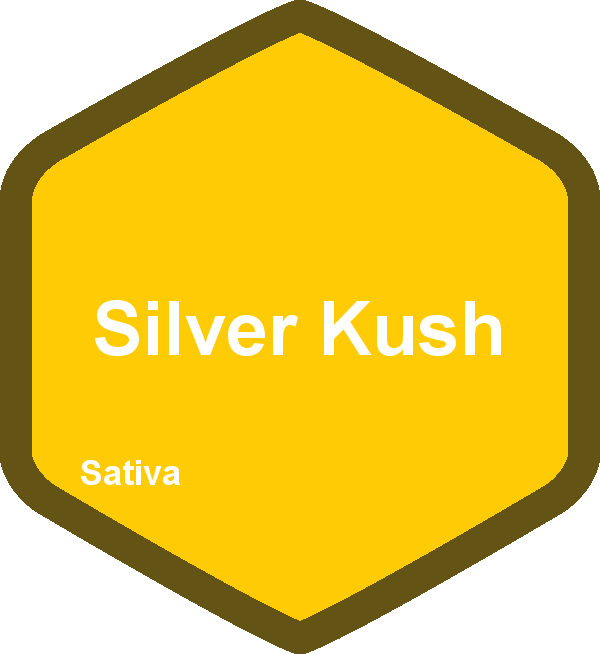 Silver Kush