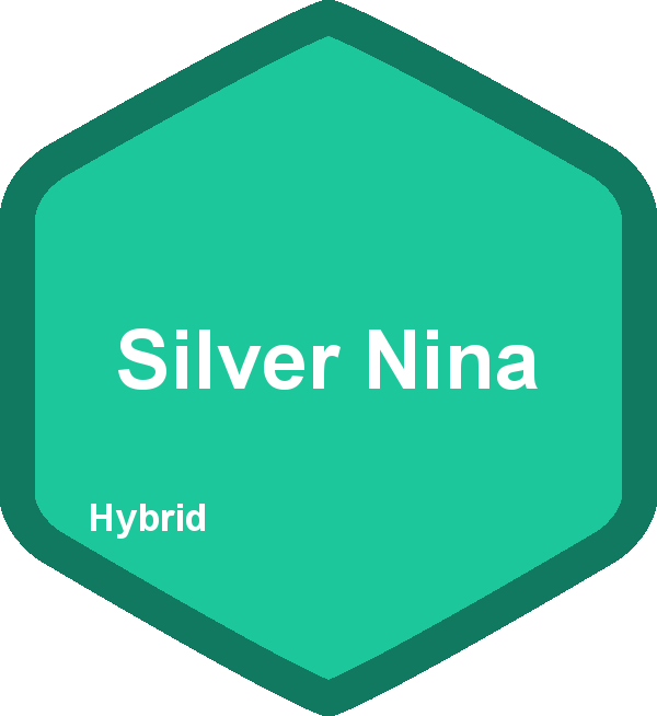 Silver Nina