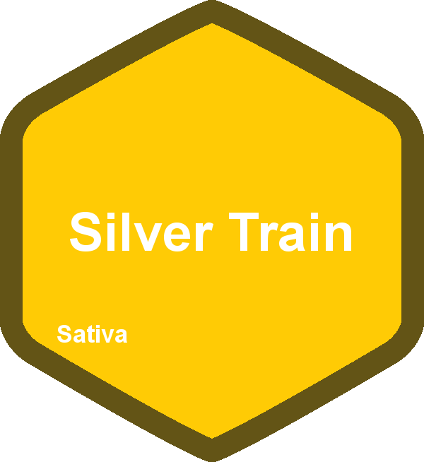 Silver Train