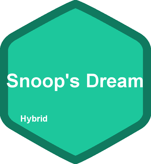 Snoop's Dream