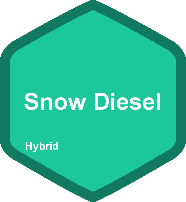Snow Diesel