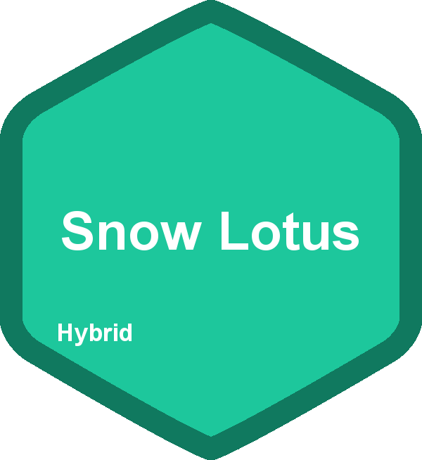 Snow Lotus