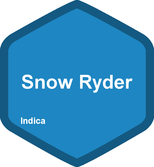 Snow Ryder