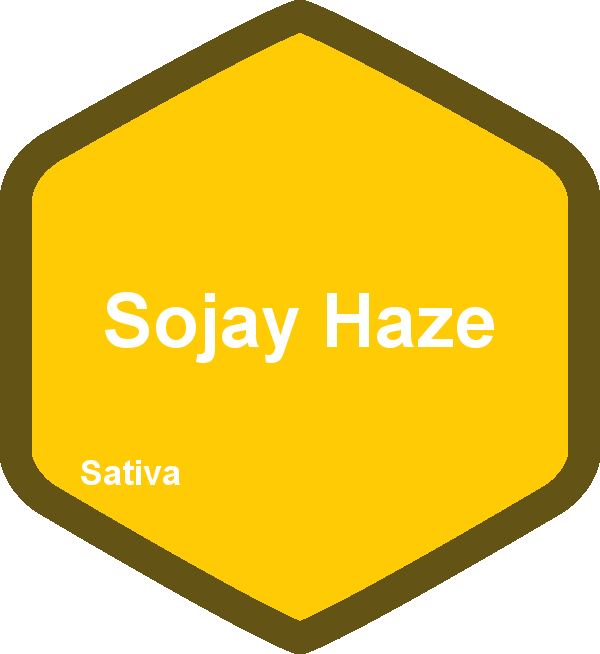 Sojay Haze