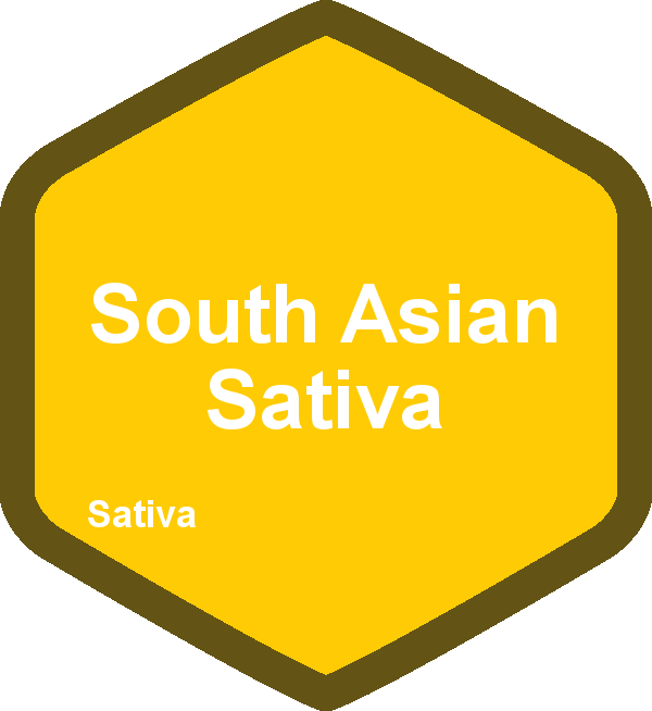 South Asian Sativa