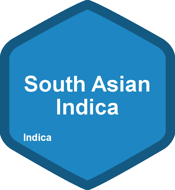 South Asian Indica