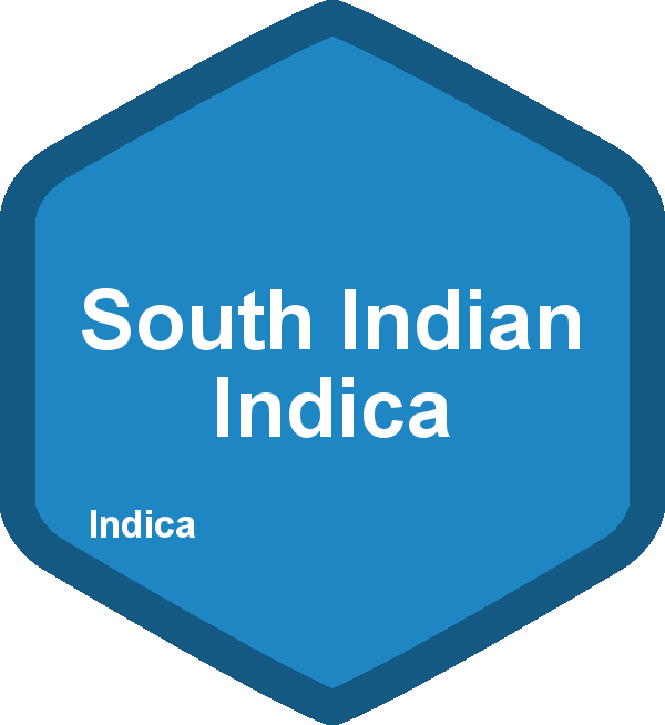 South Indian Indica
