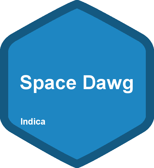 Space Dawg