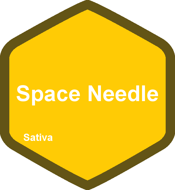 Space Needle