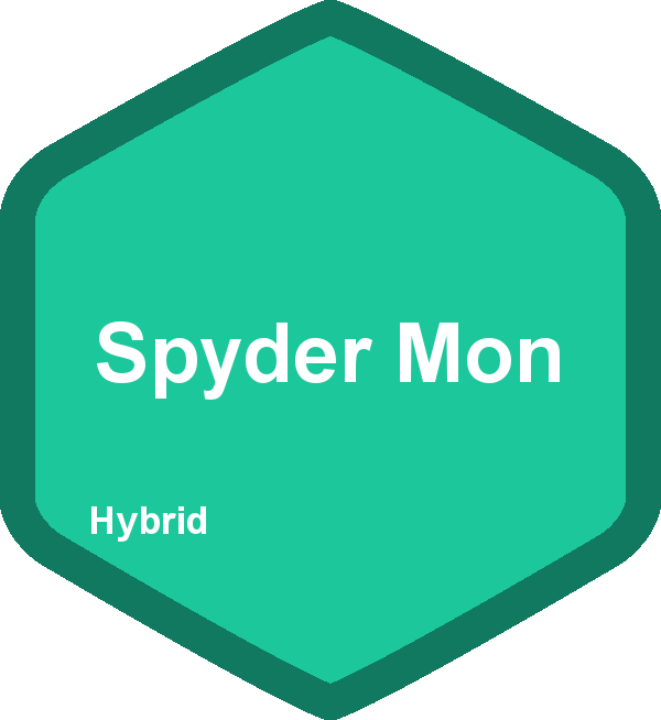 Spyder Mon