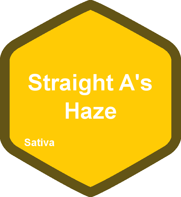 Straight A's Haze