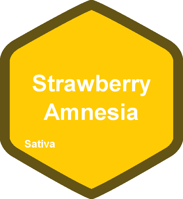 Strawberry Amnesia