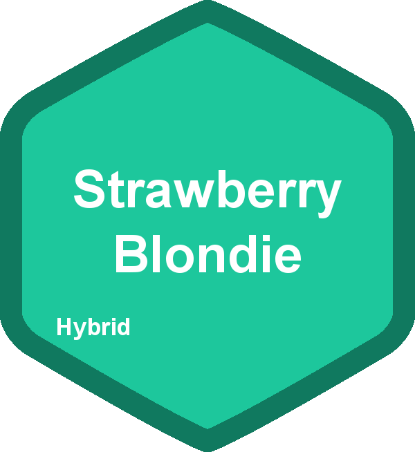 Strawberry Blondie