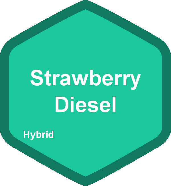 Strawberry Diesel
