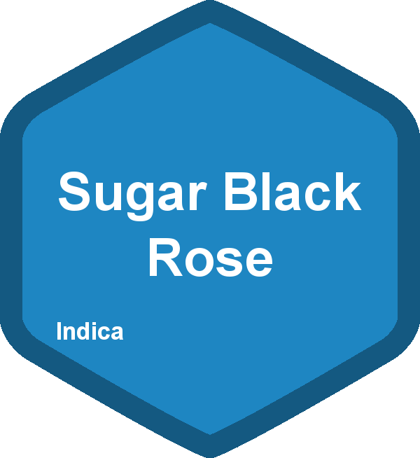 Sugar Black Rose