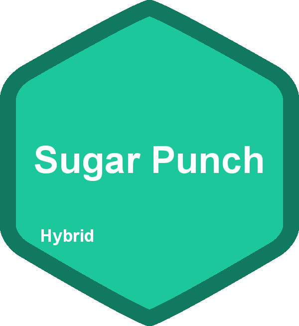 Sugar Punch